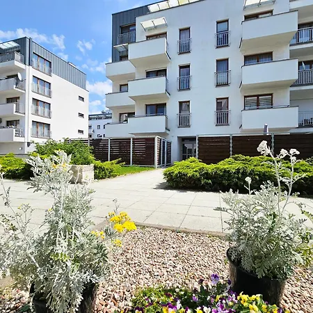 Visit Baltic - Platan