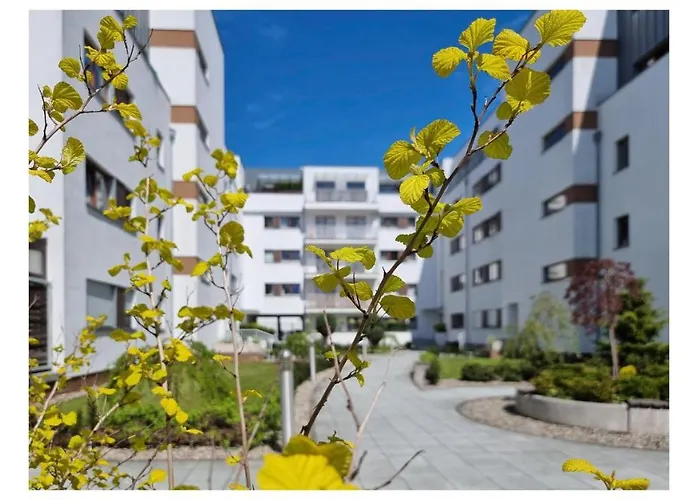 Visit Baltic - Platan Διαμέρισμα