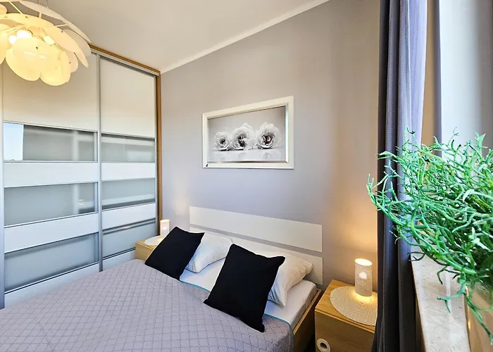 Visit Baltic - Platan