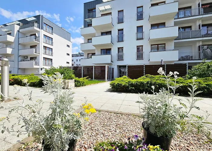 Visit Baltic - Platan